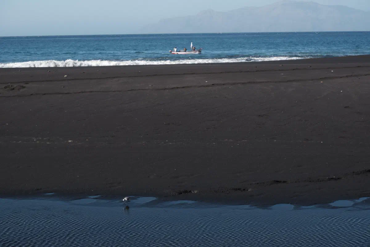 Biodiversität auf Fonti Bila Strand auf Fogo Insel.
